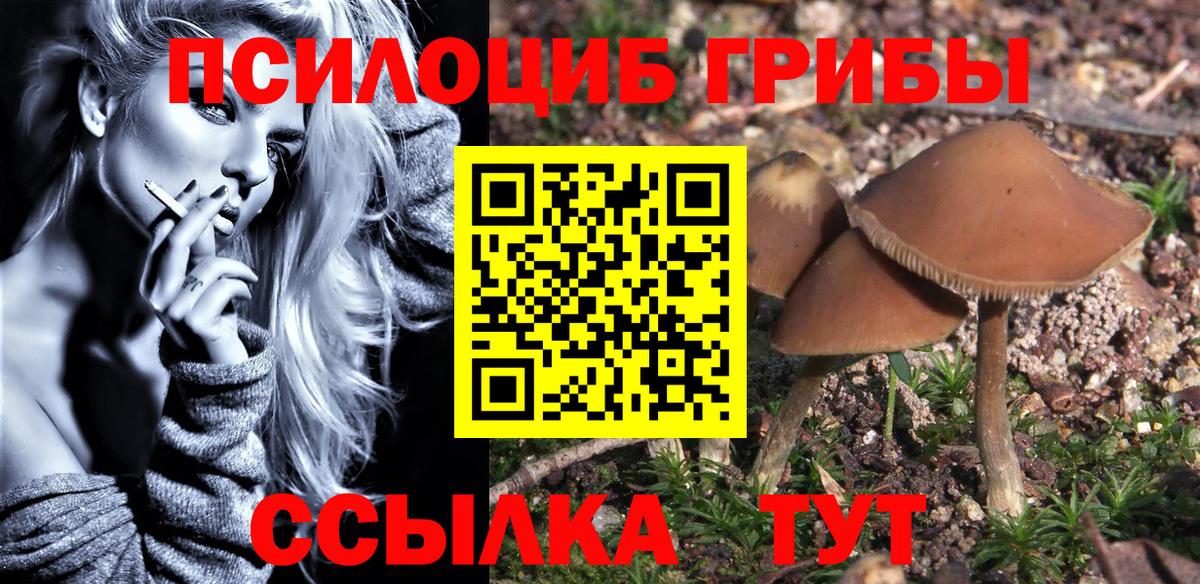 Хабаровск  Псилоцибиновые грибы прущие грибы  Вход с VPN  Псилоцибиновые грибы Cubensis 