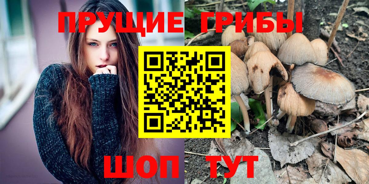 Псилоцибиновые грибы Cubensis Хабаровск