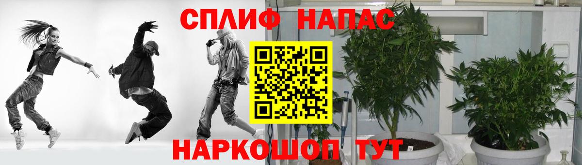 Марихуана марихуана  Вход с VPN  Бошки марихуана конопля  Каннабис VHQ  Хабаровск  Каннабис LSD WEED 